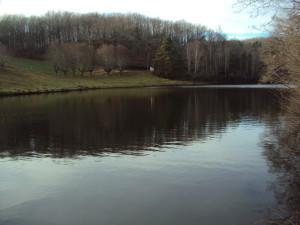 Etang1